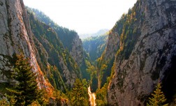EXCURSIE DE 2 ZILE SI BANCHET - ZARNESTI