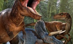 LUMEA DINOZAURILOR - PIETROSANI