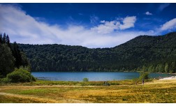 EXCURSIE DE 2 ZILE SI BANCHET - MOINESTI